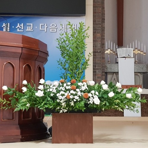 성령강림 후 제2주